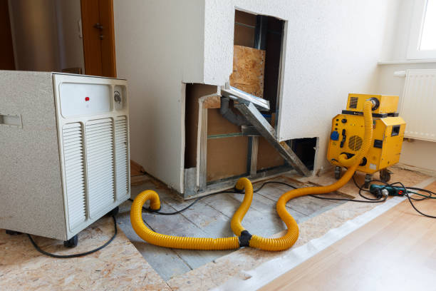 Best Mold Removal for HVAC Installations  in Boaz, WV